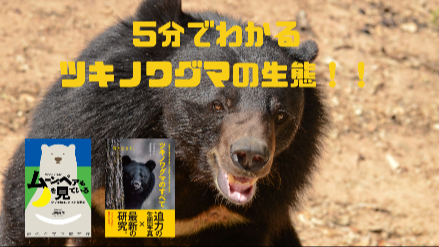 5分でわかるツキノワグマの生態！！クマが作る"クマ棚"とは！？画像