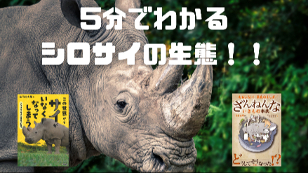 5分でわかるシロサイの生態！！サイは絶滅してしまう！？画像