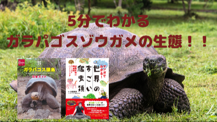 5分でわかるガラパゴスゾウガメの生態！！長生きの理由とは？！画像